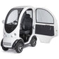 Kabinenscooter »Pizol RX9«